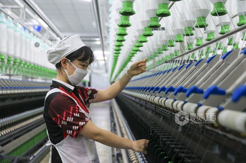 江西瑞昌 數字工廠助力產銷兩旺，針織品及原料批發(fā)蓬勃發(fā)展